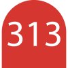 313